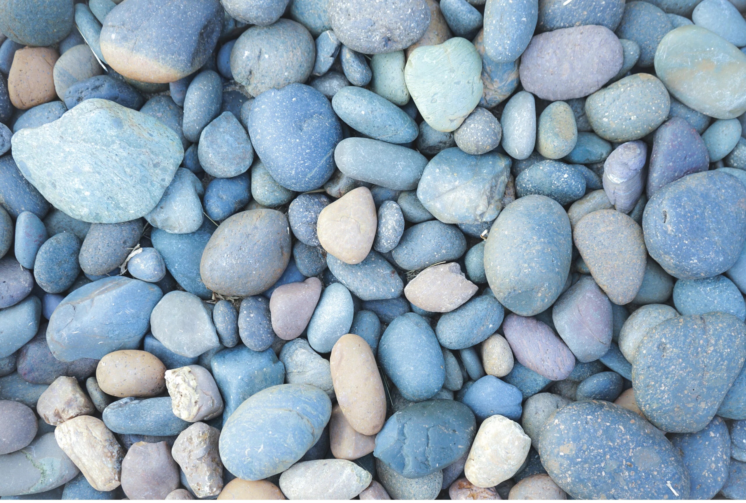 PEBBLES GLAZER obr 3